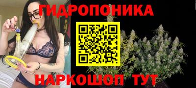 2c-b Дубна