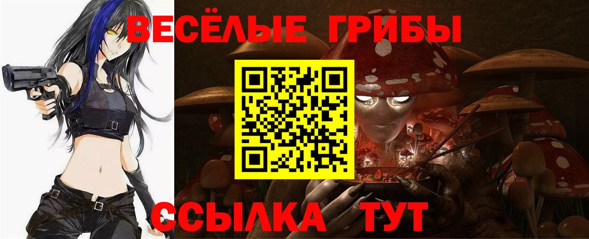 Михайловск  Галлюциногенные грибы мухоморы  Вход с VPN  Псилоцибиновые грибы ЛСД 
